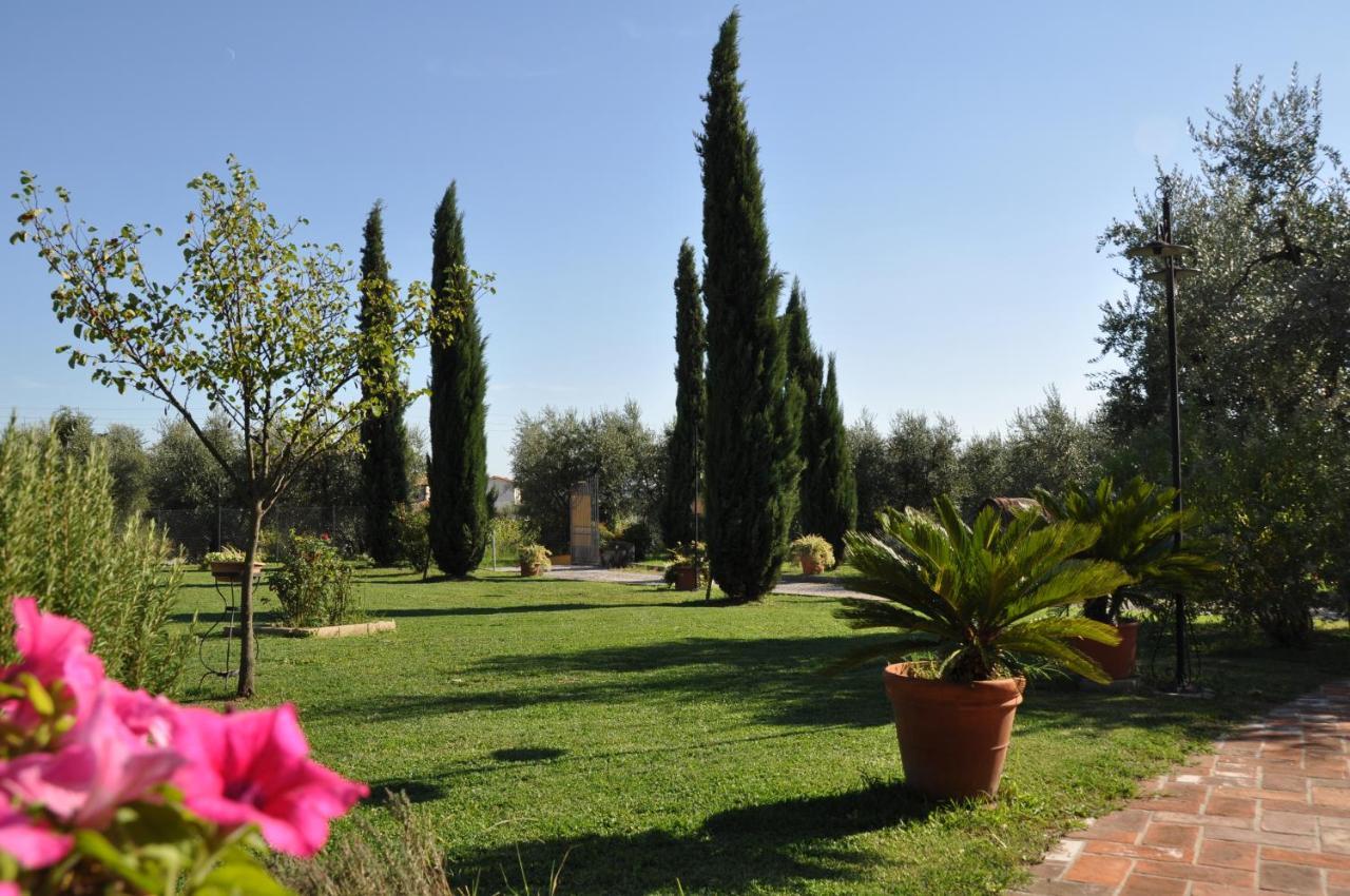 Agriturismo Tori 2 Montecarlo Exteriér fotografie